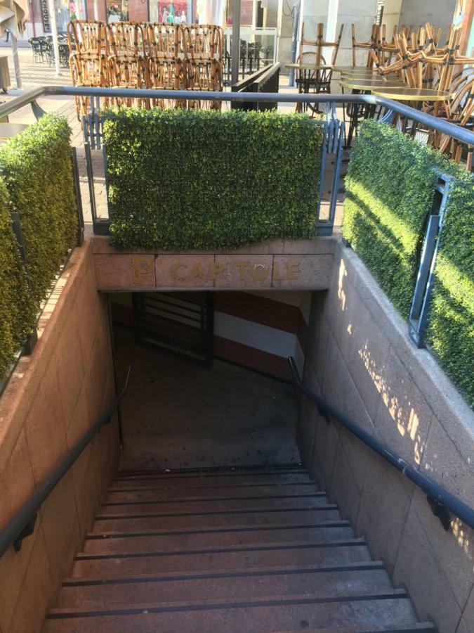 Appartement Toulouse Plein Centre-Jusqu'A 4 Personnes-Parking Et Petit Dejeuner Inclus Экстерьер фото