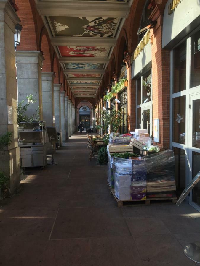 Appartement Toulouse Plein Centre-Jusqu'A 4 Personnes-Parking Et Petit Dejeuner Inclus Экстерьер фото